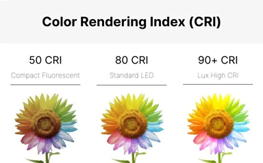 What Is CRI in Lighting And Why Is It Important?