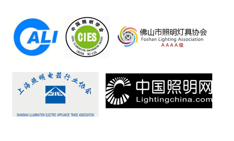 Some LED Lighting Industry Associations In China Some LED Lighting Industry Associations In China